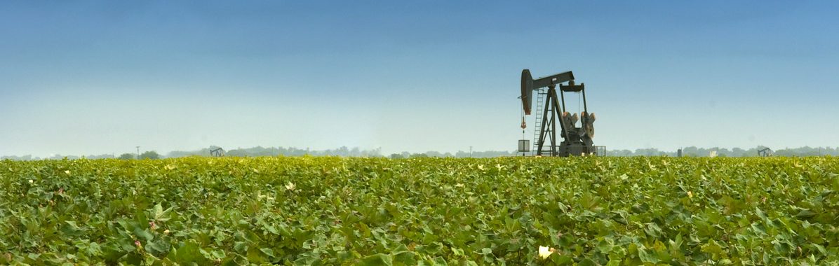 oil prices
